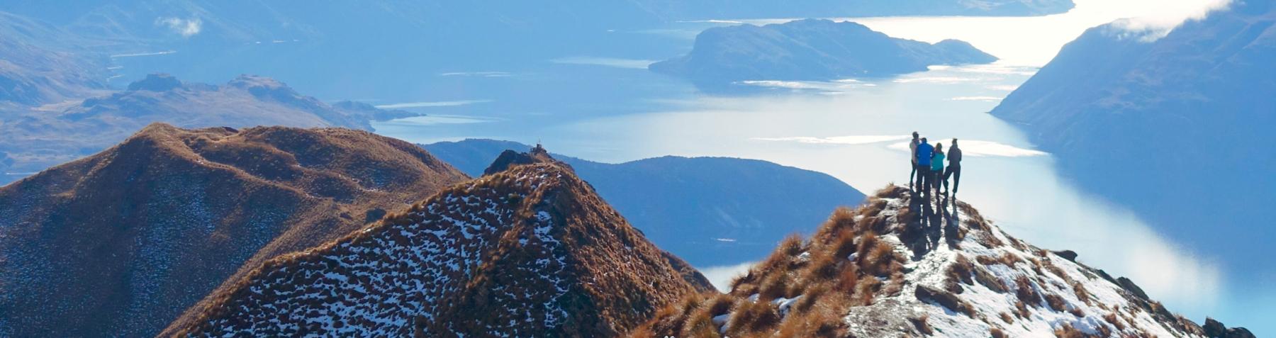 Turn Concentrated Holdings Into a Diversified ETF—Tax-Efficiently